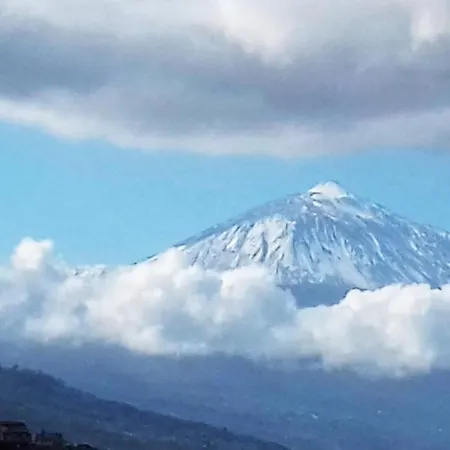 Apartament Monis Natura Icod De Los Vinos