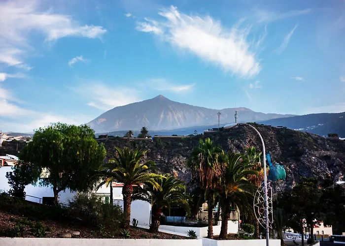 Monis Natura Lejlighed *